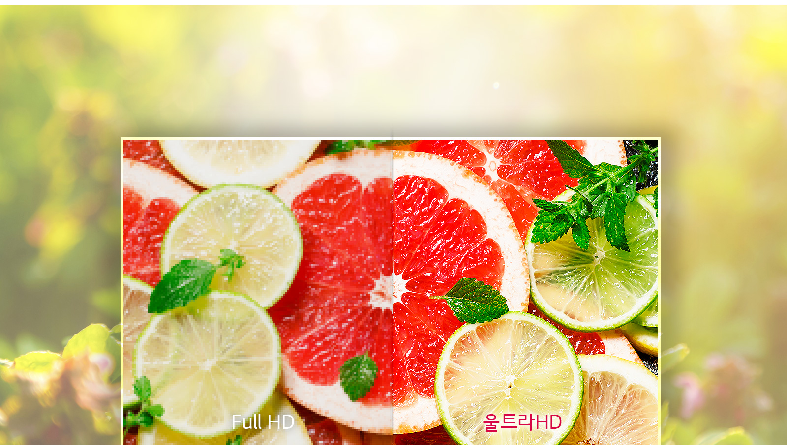 울트라HD로 더욱 선명하고 또렷하게!