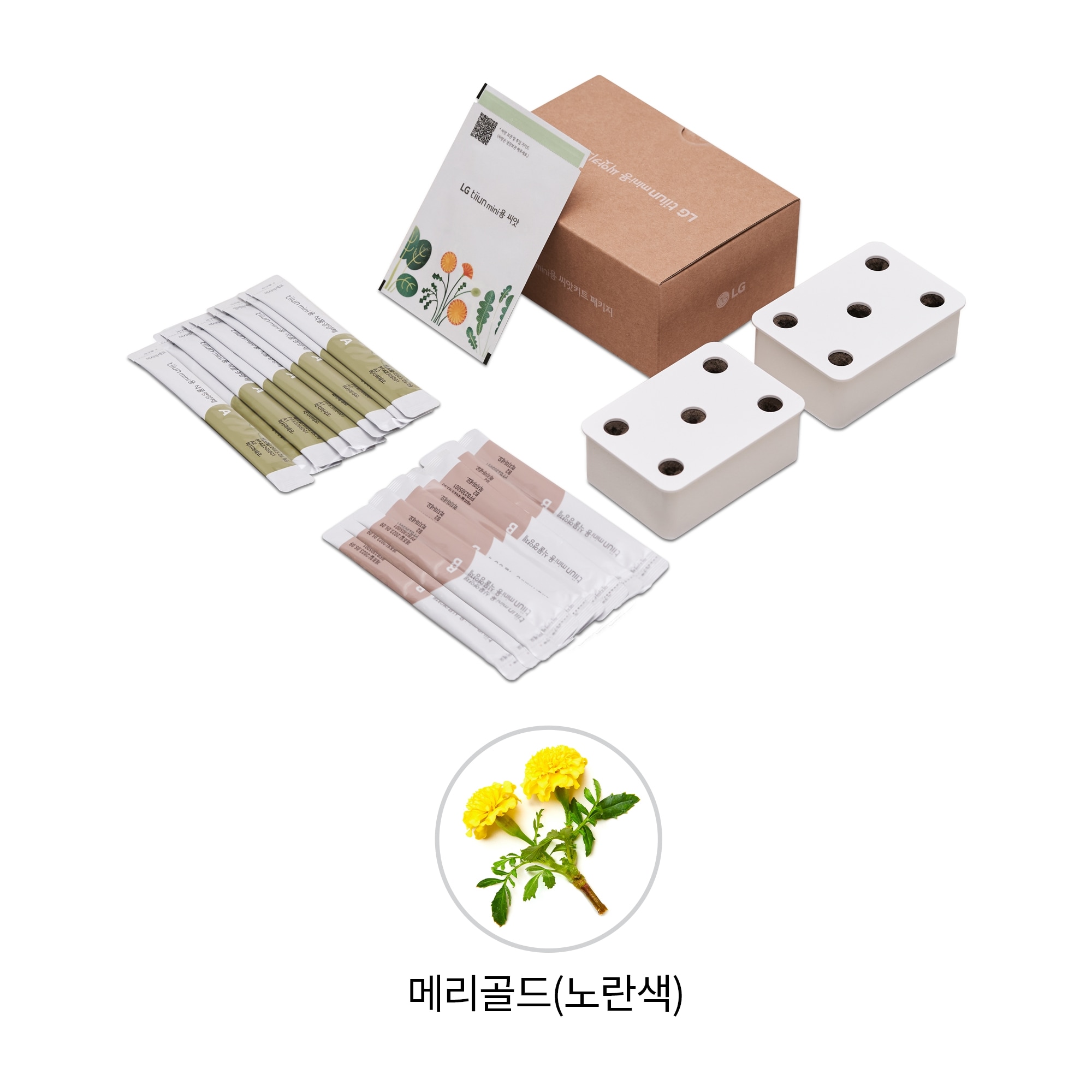 식물생활가전 LG 틔운 미니용 씨앗키트 패키지 (메리골드 노란색) (LPM16.AKOR) 줌이미지 0