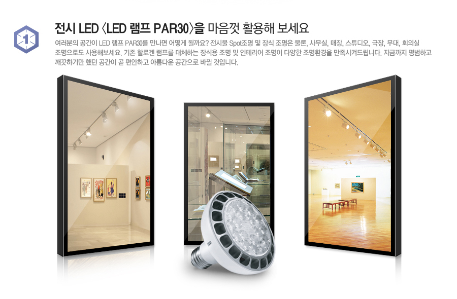  LED <LED  PAR30>  Ȱ 