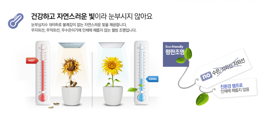 건강하고 자연스러운 빛이라 눈부시지 않아요