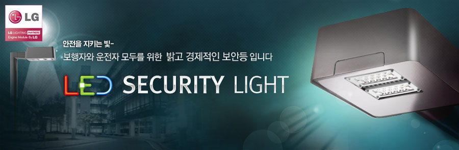 LED SECURITY LIGHT
