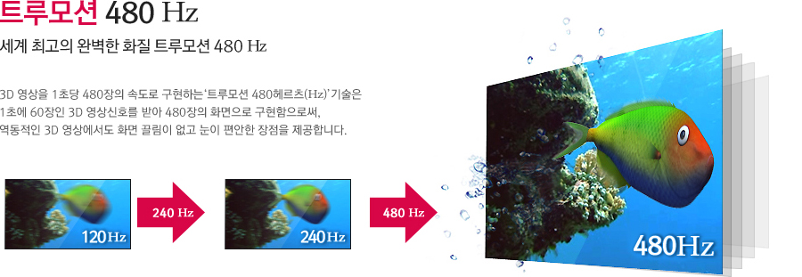 Æ®·ç¸ð¼Ç 480Hz