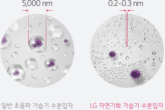 일반 초음파 가습기 수분입자(5,000nm)와 LG 프리미엄 가습기 수분입자(0.2~0.3nm) 비교 이미지