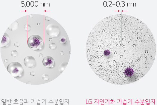 일반 초음파 가습기 수분입자(5,000nm)와 LG 프리미엄 가습기 수분입자(0.2~0.3nm) 비교 이미지