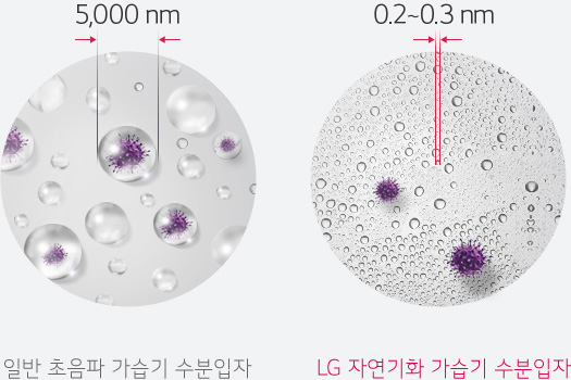 일반 초음파 가습기 수분입자(5,000nm)와 LG 프리미엄 가습기 수분입자(0.2~0.3nm) 비교 이미지