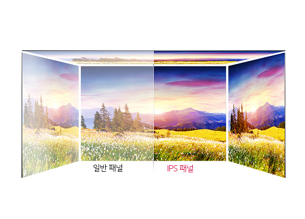 어느 각도에서나 생생한 컬러 IPS 패널