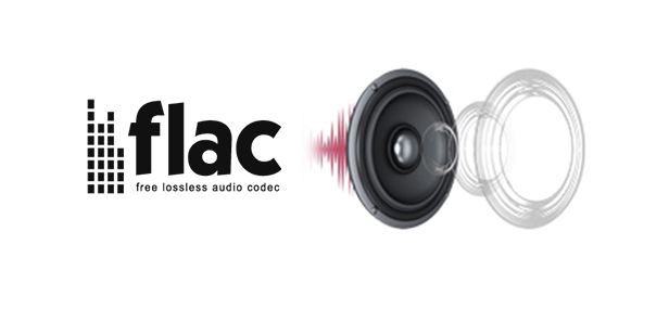 free lossless audio codec 이미지