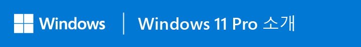 Windows | Windows 11 Pro 소개