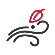 검은색 곡선과 점으로 이루어진 추상적인 디자인이 있으며, 빨간색 잎 모양이 위쪽에 위치해 있습니다.