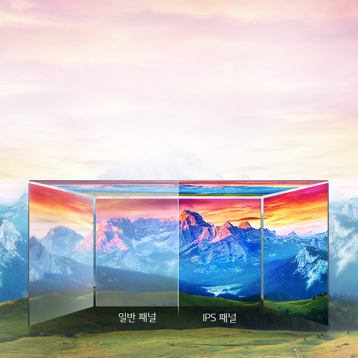 어느 각도에서나 생생한 컬러 IPS 패널