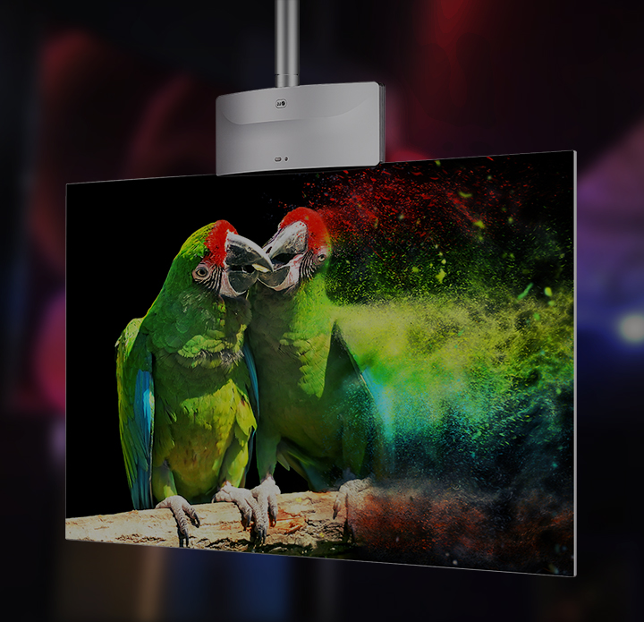 LG OLED 사이니지 동영상 보기