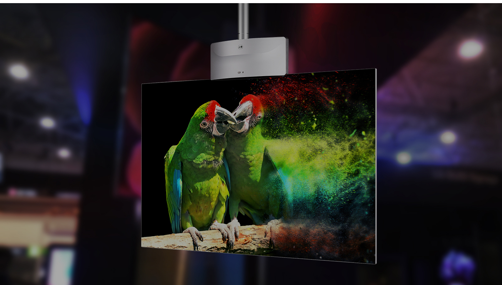 LG OLED 사이니지 동영상 보기