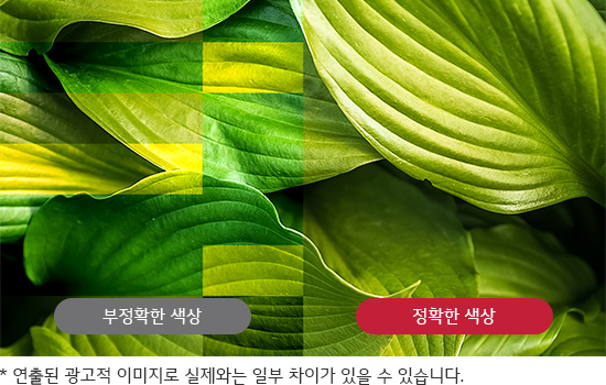 Alt alt값 없음