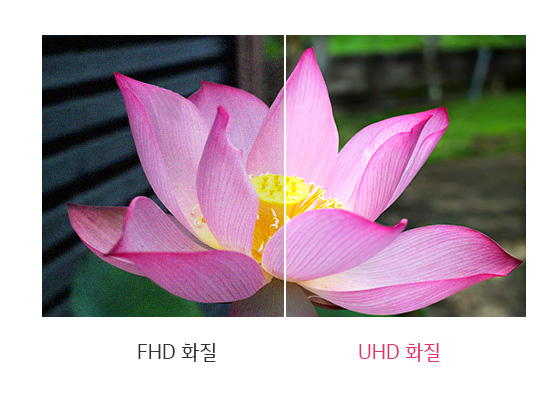 Alt alt값 없음