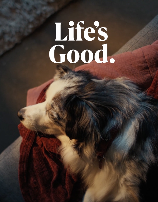 빨간 담요 위에 강아지가 편안하게 잠들어 있으며, 이미지 상단 영역에 흰색 텍스트로 Life’s Good.이라고 표기되어 있습니다.