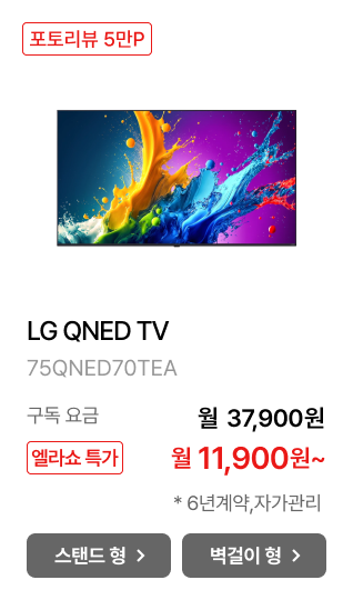 LG QNED TV (스탠드형)