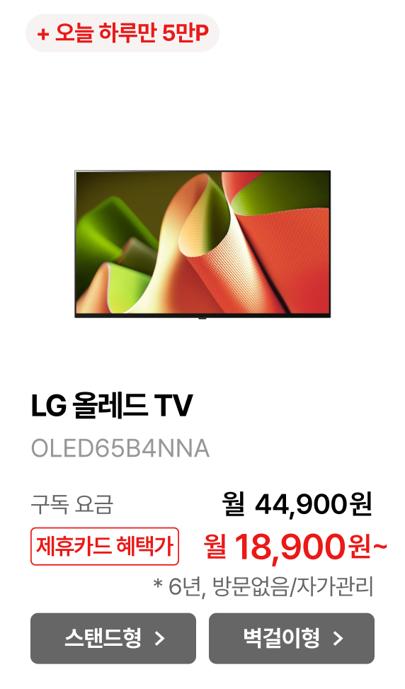 LG 올레드 TV (벽걸이형) 제품바로가기