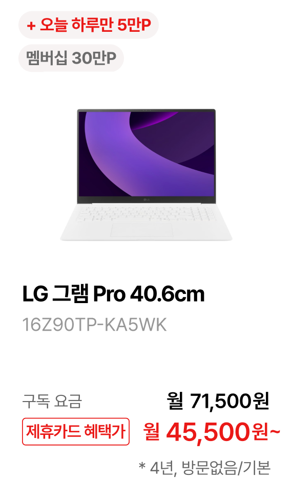 LG 그램 Pro 40.6cm 제품바로가기