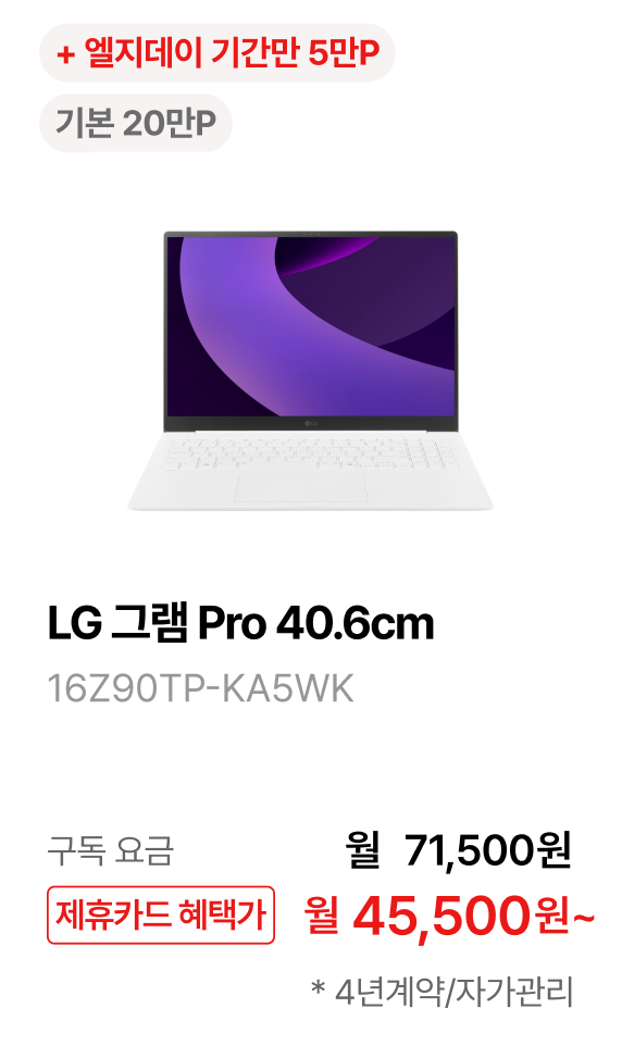 LG 그램 Pro 40.6cm 제품바로가기