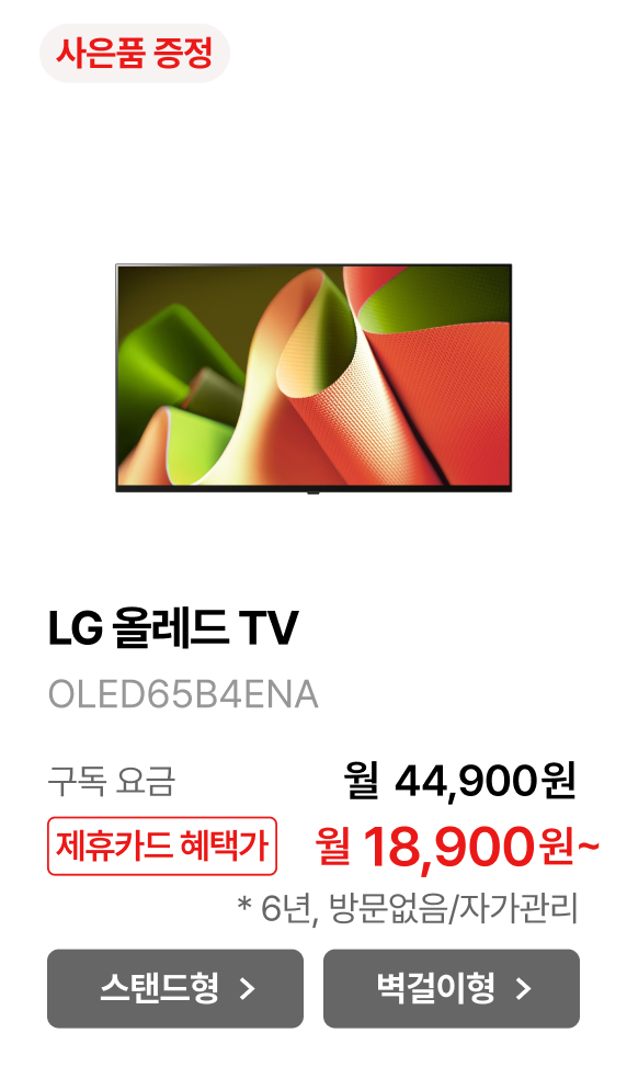 LG 올레드 TV (벽걸이형) 제품바로가기