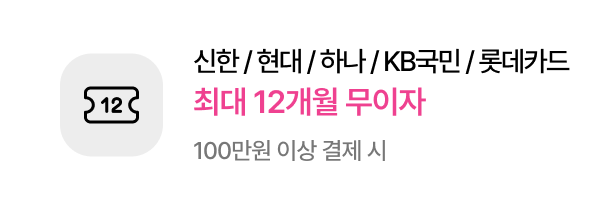 신한/현대/하나/KB국민/롯데카드​ 최대 12개월 무이자​ - 100만원 이상 결제 시