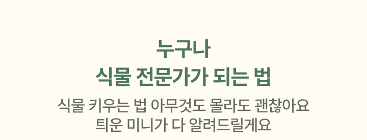 신한카드 플러스 서비스 이용 시 최대 100만원 혜택 + 7% 캐시백 *이용 금액 별 혜택 금액 상이