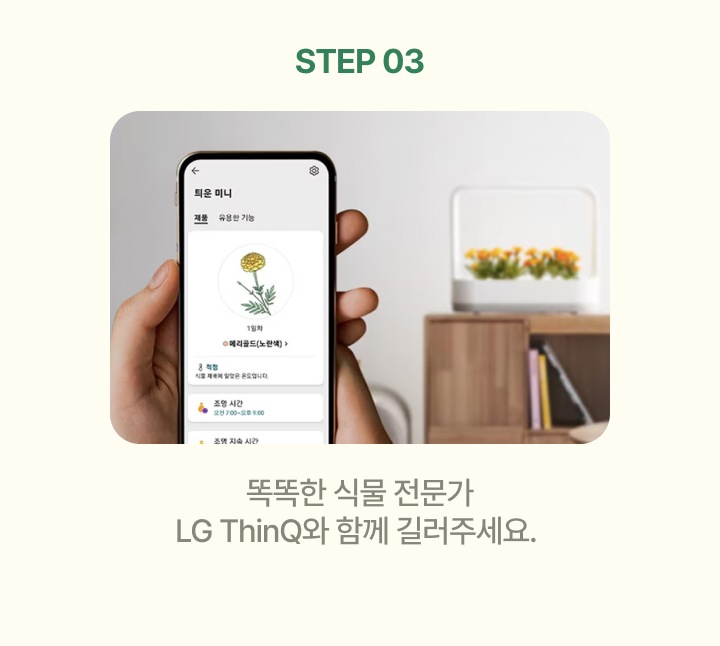 네이버페이로 결제 시​ 7% 포인트 적립 - 유의사항 참고​