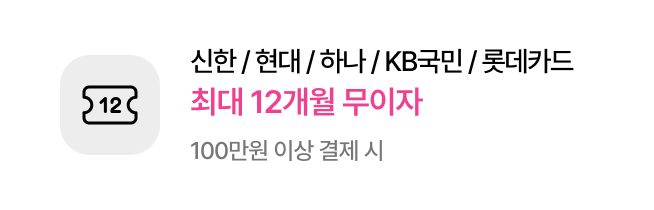 신한/현대/하나/KB국민/롯데카드​ 최대 12개월 무이자​ - 100만원 이상 결제 시