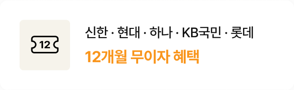 신한.현대.하나.KB국민.롯데 12개월 무이자 혜택