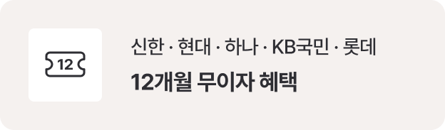 신한·현대·하나·KB국민·롯데 12개월 무이자 혜택
