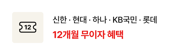 신한.현대.하나.KB국민.롯데 12개월 무이자 혜택