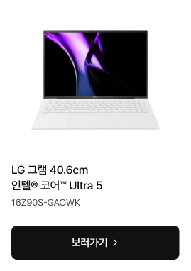LG 그램 40.6cm Ultra 5 노트북