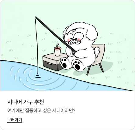 하단에는 '시니어 가구 추천. 여가에만 집중하고 싶은 시니어라면? 보러가기' 문구가 있고 상단에는 콧수염이 있는 캐릭터 굿독이가 강가에서 의자에 앉아 낚시를 즐기는 모습의 이미지가 있음