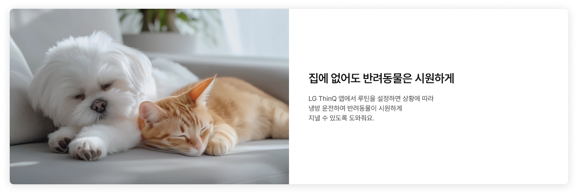 좌측에 흰 강아지와 연한 갈색의 고양이가 쾌적한 환경에서 낮잠을 자는 듯한 이미지가 배치되어있고, '집에 없어도 반려동물은 시원하게 LG ThinQ 앱에서 루틴을 설정하면 상황에 따라 냉방 운전하여 반려동물이 시원하게  지낼 수 있도록 도와줘요.