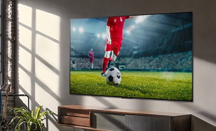 LG 올레드 10주년 기념 특별전