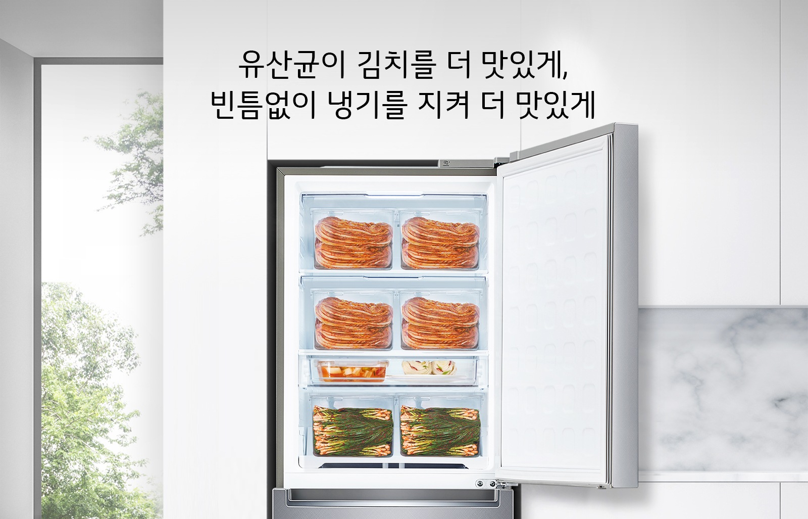 유산균이 김치를 더 맛있게, 빈틈없이 냉기를 지켜 더 맛있게