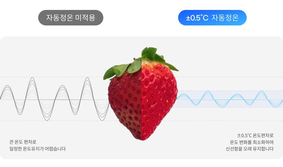 자동정온 미적용과 +0.5℃ 자동정온이 비교된 이미지입니다. 딸기가 있고, 큰 온도 편차로 일정한 온도유지가 어렵다는 설명과 함께 불규칙한 파형이 있습니다. ±0.5℃ 온도편차로 온도 변화를 최소화하여 신선함을 오래 유지한다는 설명과 함께 안정적인 파형이 나타나 있습니다.