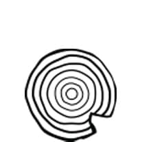 애쉬 목재 <#if counter!=0> 0</#if>