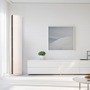 LG 업 가전 LG 휘센 오브제컬렉션 타워II 에어컨 2in1 (2시리즈) (FQ17ET2BC2.AKOR) 썸네일이미지 0
