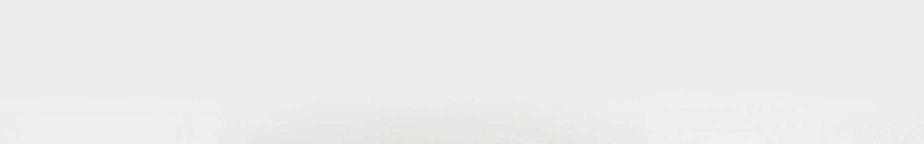gray bg