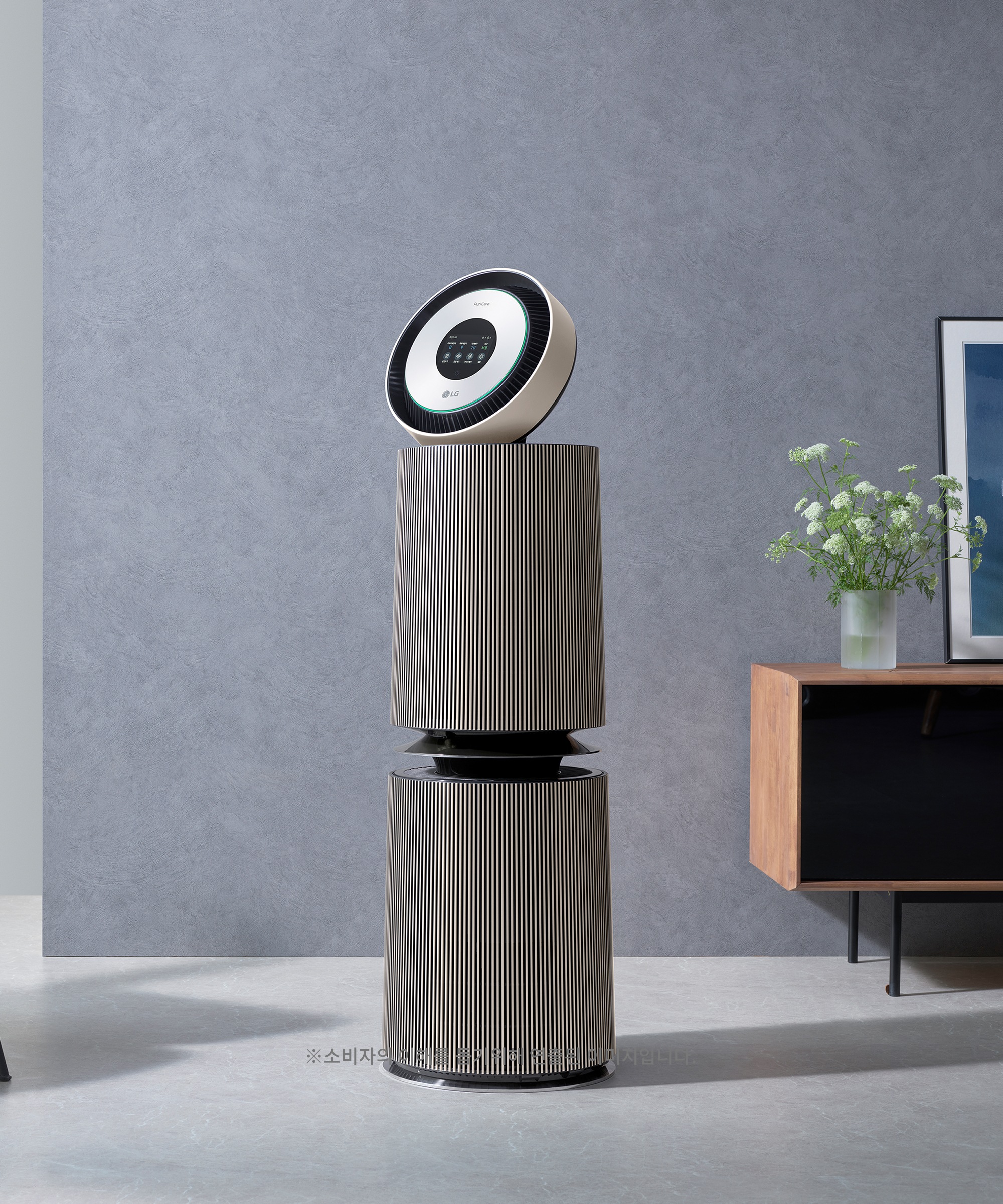 공기청정기 LG 퓨리케어 360˚ 공기청정기 알파 (AS351NBFA.AKOR) 메인이미지 0