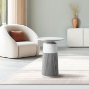 공기청정기 LG 퓨리케어 오브제컬렉션 에어로퍼니처 (AS065PWHA.AKOR) 썸네일이미지 1