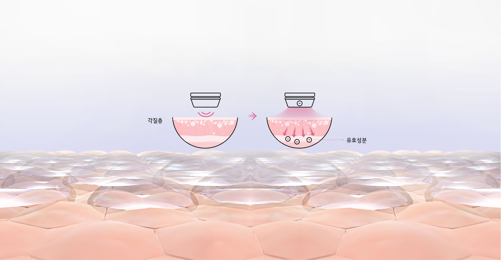 각질층 유효성분
