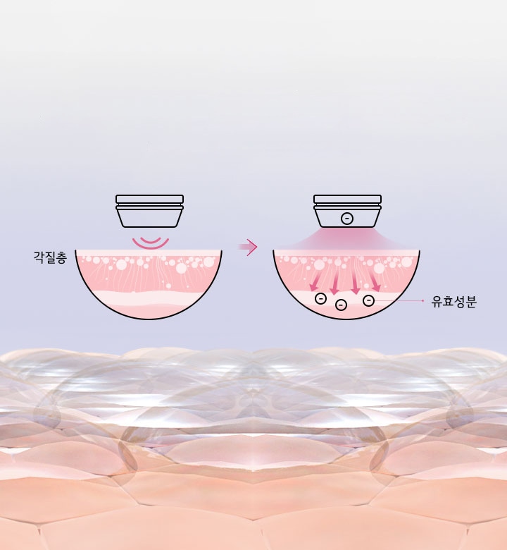 각질층 유효성분