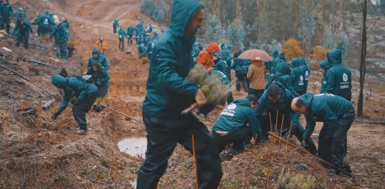 LG전자 스페인 법인에서 진행하는 산림 재생 캠페인 스마트 그린 트리(Smart Green Trees) 이미지