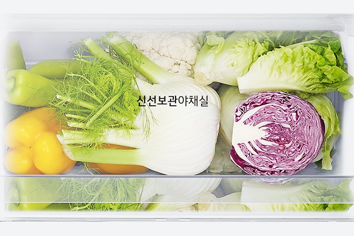 신선보관야채실이라는 텍스트가 있는 냉장고 야채 보관 칸에 다양한 채소들이 담겨 있습니다. 노란색과 초록색 피망, 회향, 콜리플라워, 양상추, 적양배추가 깔끔하게 정리되어 있습니다.