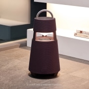 AV LG 엑스붐 360 (RP4.AKOR) 썸네일이미지 0
