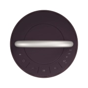 오디오 LG 엑스붐 360 (RP4.AKOR) 썸네일이미지 8