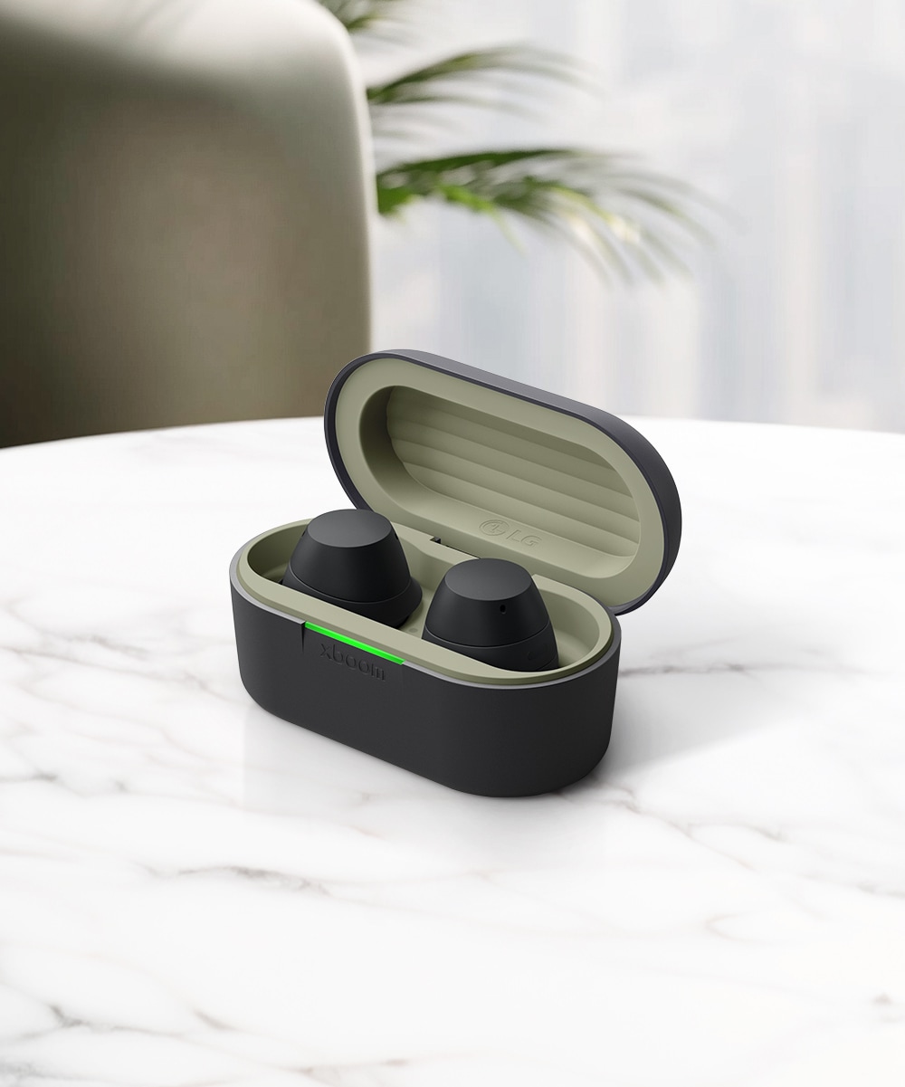 오디오 LG 엑스붐 버즈 라이트 (BUDSLITE.AKORBK) 메인이미지 0