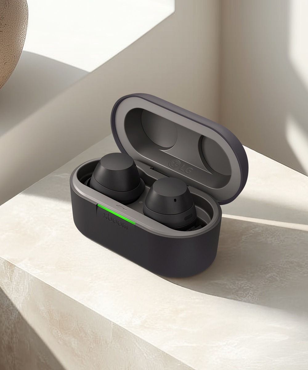 오디오 LG 엑스붐 버즈 플러스 (BUDSPLUS.AKORBK) 메인이미지 0
